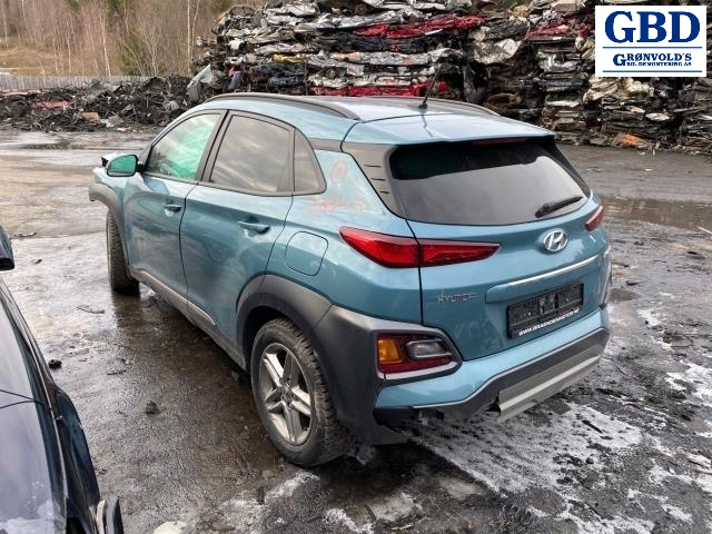 Hyundai Kona, 2017-2021 (Type I, Fase 1) (95720-J9000PGY)