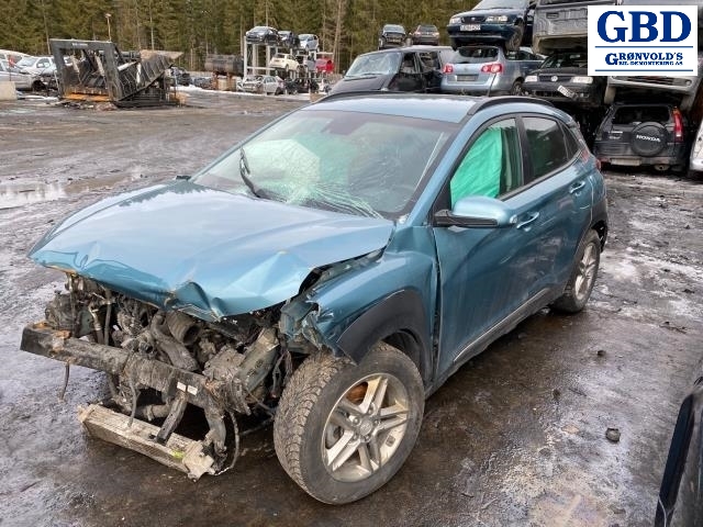 Hyundai Kona, 2017-2021 (Type I, Fase 1) (54650J 9000)