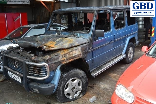 Mercedes G-Wagen, 1990- (W463) (A 460 410 22 18)