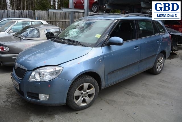 Škoda Fabia, 2007-2010 (Type II, Fase 1) (6Q0 407 272 BD|6Q0 407 452 FX)