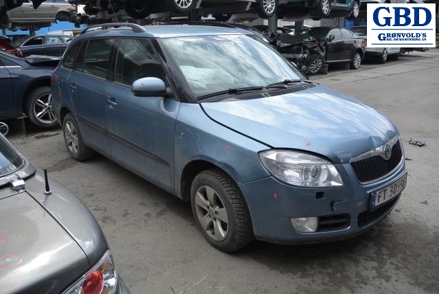 Škoda Fabia, 2007-2010 (Type II, Fase 1) (6Q0 407 272 BD|6Q0 407 452 FX)