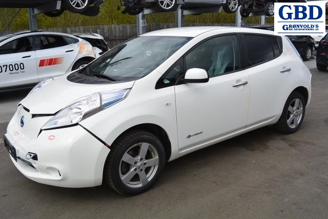 Nissan Leaf, 2011-2017 (Type I) (NISSAN|254013NA0B)