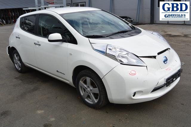 Nissan Leaf, 2011-2017 (Type I) (NISSAN|254013NA0B)