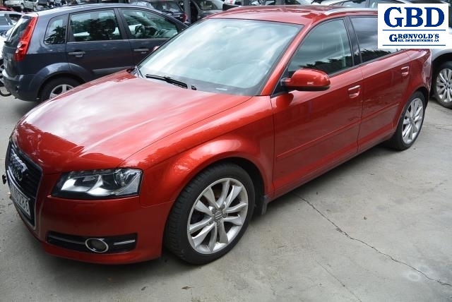 Audi A3, 2009-2012 (Type II, Fase 2) (02Z 911 024 H|02Z 911 024 HX)