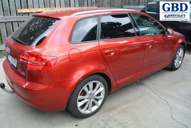 Audi A3, 2009-2012 (Type II, Fase 2) (02Z 911 024 H|02Z 911 024 HX)