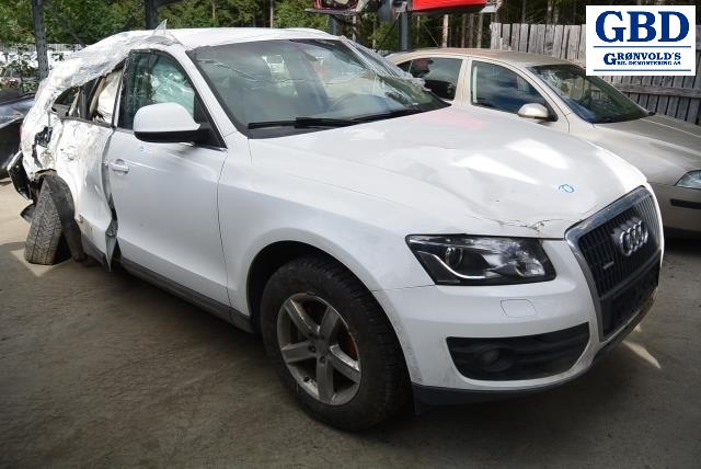 Audi Q5, 2008-2012 (Type I, Fase 1) (8T0 837 205 A )