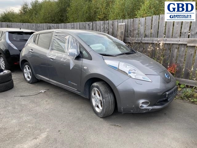 Nissan Leaf, 2011-2017 (Type I) (254013NA0B|25401 3NA08)