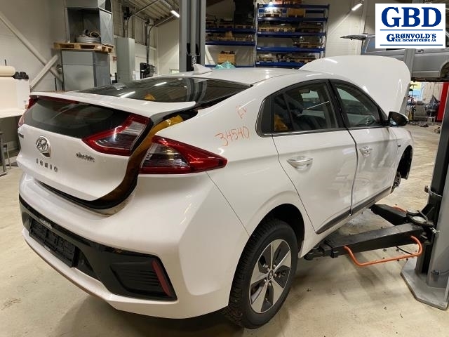 Hyundai Ioniq Electric, 2016-2019 (Fase 1) (49501G 7000)