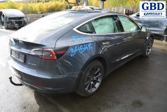 Tesla Model 3, 2018-2023 (Fase 1) (TESLA|1120960-10-G)