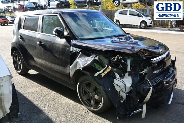 Kia Soul, 2014-2019 (Type II) (94003E 4250)