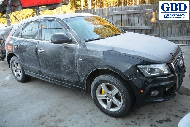 Audi Q5, 2008-2012 (Type I, Fase 1) (8K0 959 795 C)