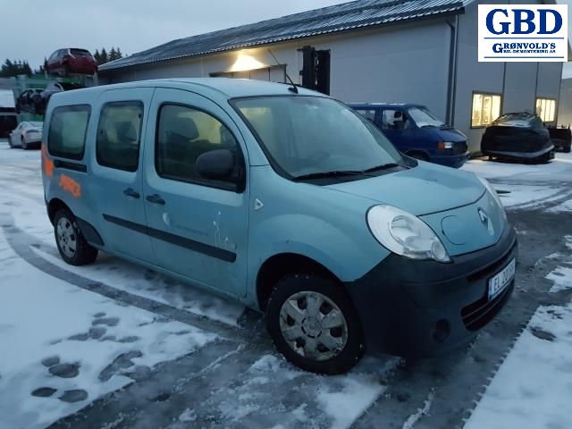 Renault Kangoo, 2008-2021 (Type II) (623820314R)