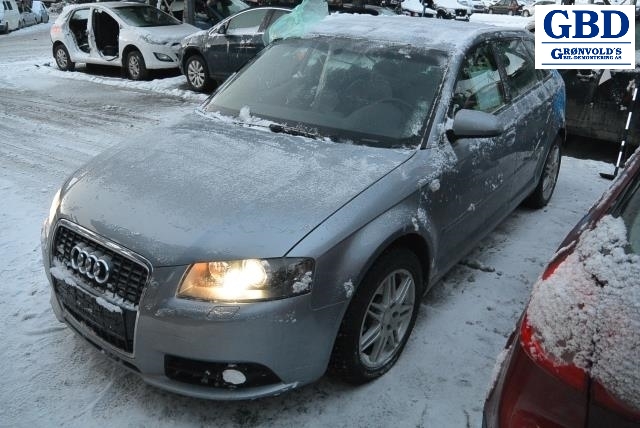 Audi A3, 2003-2008 (Type II, Fase 1) (1K0 407 256 AA)