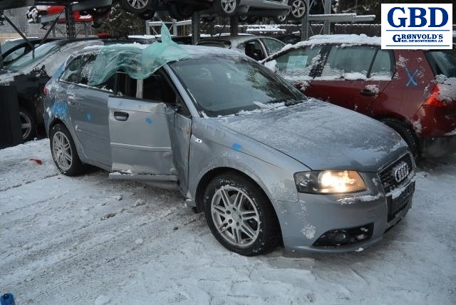 Audi A3, 2003-2008 (Type II, Fase 1) (1K0 407 256 AA)