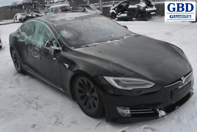 Tesla Model S, 2016-2021 (Fase 2) (6006394-E0-H |1584771-E0-A)