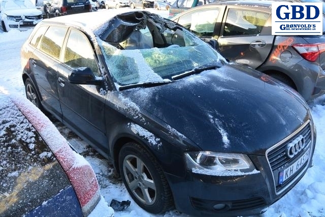 Audi A3, 2009-2012 (Type II, Fase 2) (VW|1K0 614 517 CM|1K0 907 379 BA)