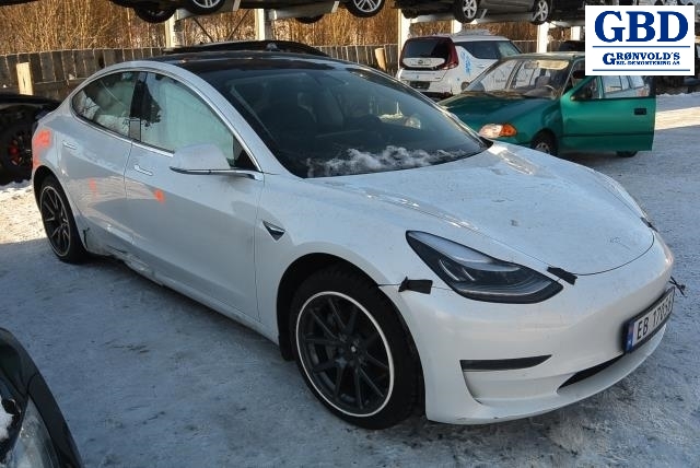 Tesla Model 3, 2018-2023 (Fase 1) (1120960-10-G)