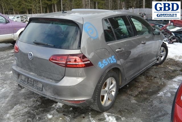 VW Golf VII, 2012-2017 (Fase 1) (04E 145 721 G|04E 145 721 GX)