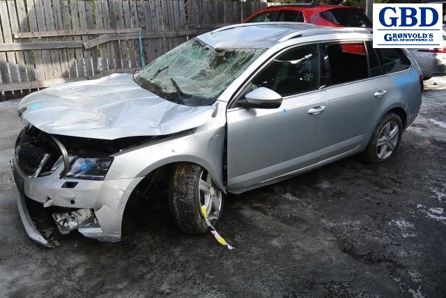 Škoda Octavia, 2017-2020 (Type III, Fase 2) (5Q0 614 517 DL)