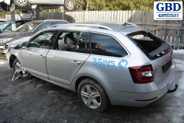 Škoda Octavia, 2017-2020 (Type III, Fase 2) (5Q0 614 517 DL)