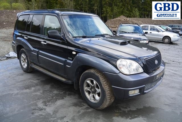 Hyundai Terracan, 2002-2007 (92402H 1520)