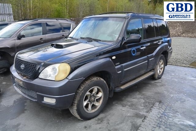 Hyundai Terracan, 2002-2007 (92402H 1520)