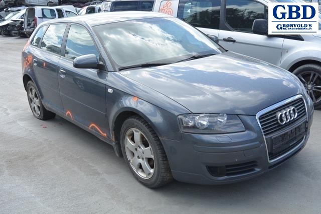 Audi A3, 2003-2008 (Type II, Fase 1) (8P1 858 532 K)