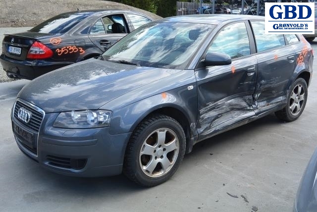 Audi A3, 2003-2008 (Type II, Fase 1) (8P1 858 532 K)