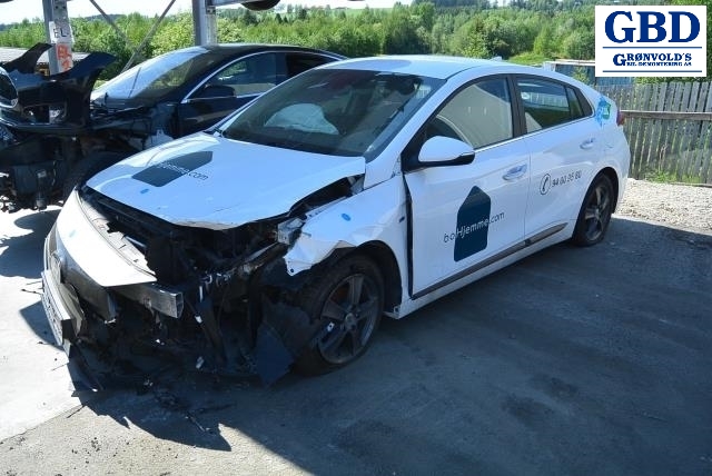 Hyundai Ioniq Electric, 2016-2019 (Fase 1) (91950G 7100)