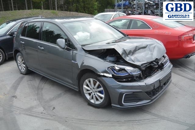 VW Golf VII, 2017-2020 (Fase 2) (5Q0 407 271 CM|5Q0 407 761 TX)