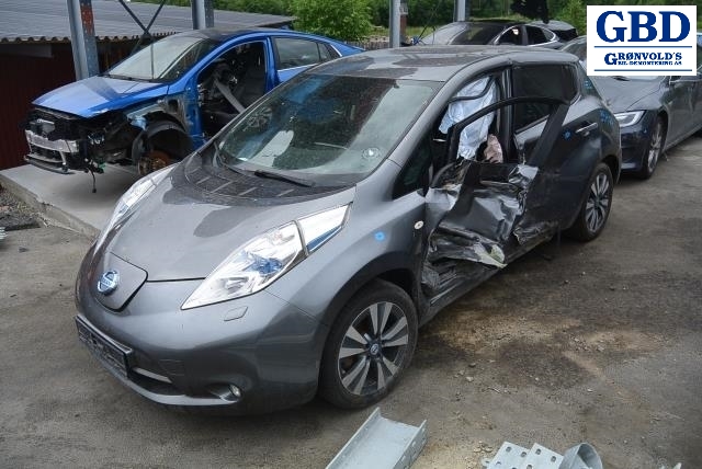 Nissan Leaf, 2011-2017 (Type I) (260553NK0A|260553NK5A)