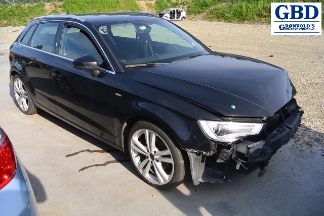 Audi A3, 2012-2016 (Type III, Fase 1) (5Q0 407 256 Q)