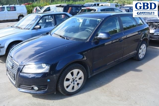 Audi A3, 2009-2012 (Type II, Fase 2) (1K0 614 517 CM|1K0 907 379 BA)