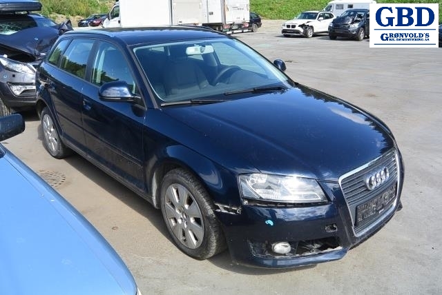 Audi A3, 2009-2012 (Type II, Fase 2) (1K0 614 517 CM|1K0 907 379 BA)