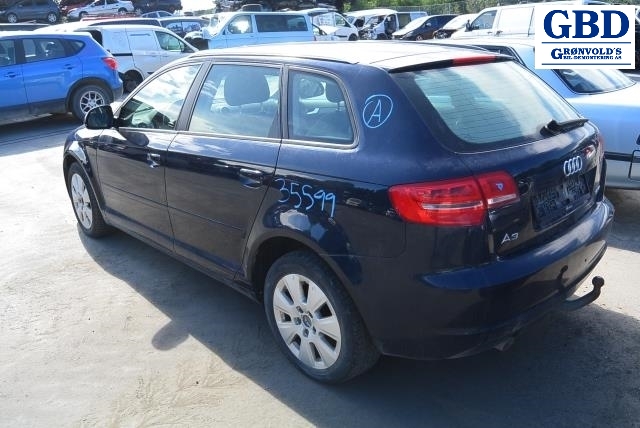 Audi A3, 2009-2012 (Type II, Fase 2) (1K0 614 517 CM|1K0 907 379 BA)