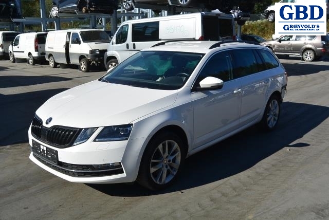 Škoda Octavia, 2017-2020 (Type III, Fase 2)(|5Q0 907 383 L)