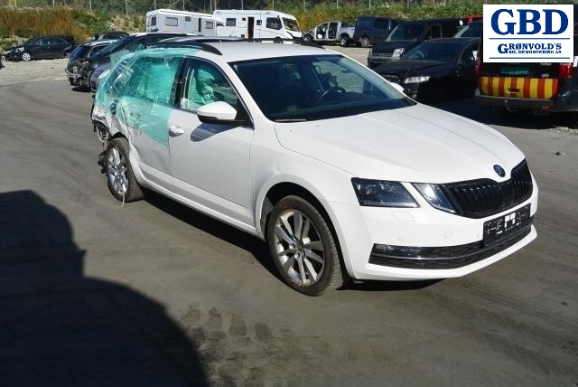 Škoda Octavia, 2017-2020 (Type III, Fase 2) (3G0 857 511 G)