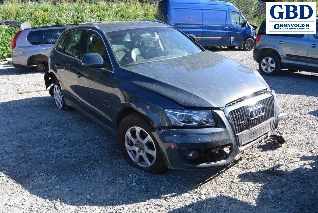 Audi Q5, 2008-2012 (Type I, Fase 1) (LSA|0B2 300 028 F|0B2 300 028 FX)