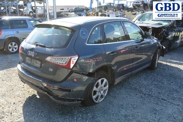 Audi Q5, 2008-2012 (Type I, Fase 1) (LSA|0B2 300 028 F|0B2 300 028 FX)