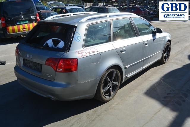 Audi A4, 2004-2008 (Type III) (B7) (AUTOMOTIVE|8E0 941 003 BK|8E0 941 003)