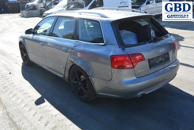 Audi A4, 2004-2008 (Type III) (B7) (AUTOMOTIVE|8E0 941 003 BK|8E0 941 003)