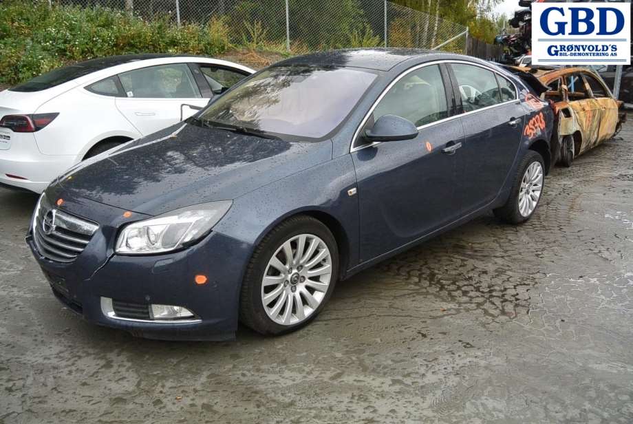 Opel Insignia A, 2009-2014 (Fase 1) (13228199|22796269|93169653)