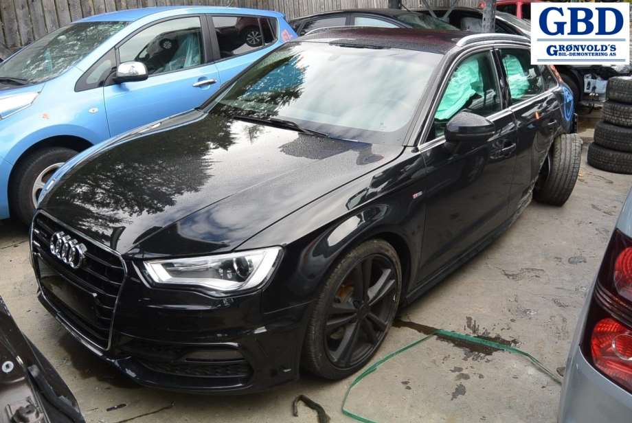 Audi A3, 2012-2016 (Type III, Fase 1) (8V1 955 119 A)