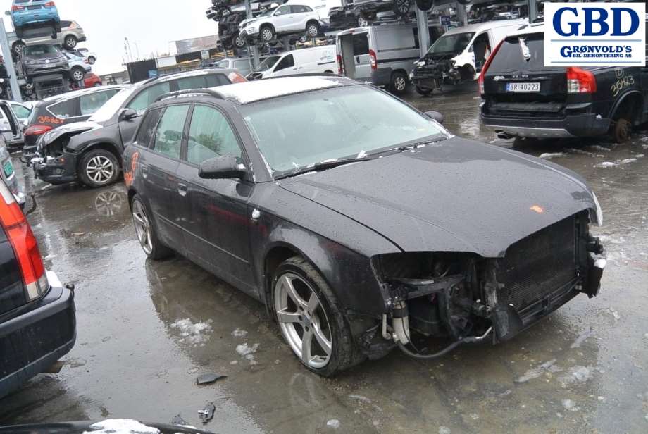 Audi A4, 2004-2008 (Type III) (B7) (8E0 959 851 D)