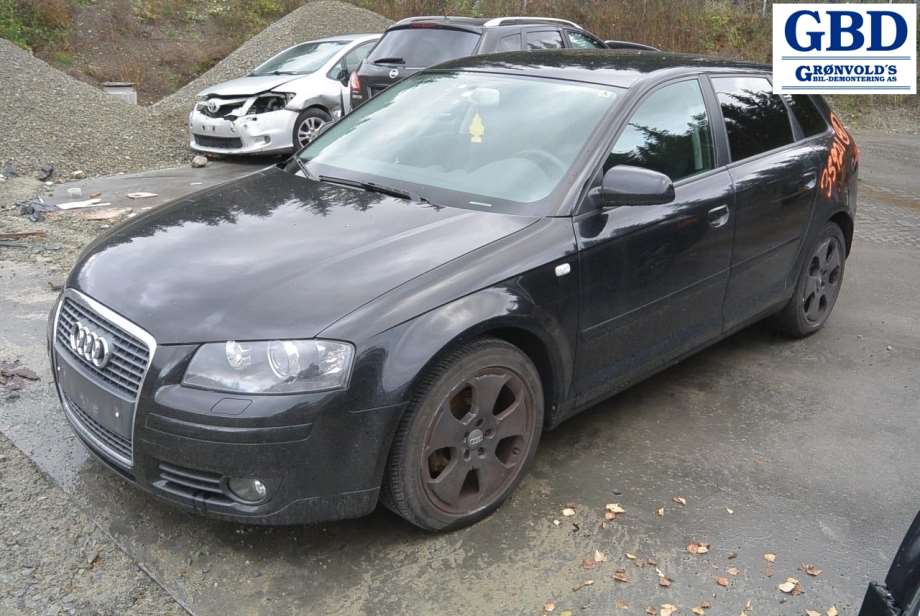 Audi A3, 2003-2008 (Type II, Fase 1) (VW|03G 997 058 SX|03G 906 021KP)