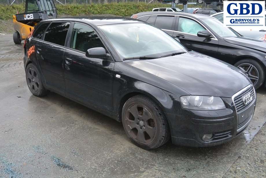 Audi A3, 2003-2008 (Type II, Fase 1) (VW|03G 997 058 SX|03G 906 021KP)