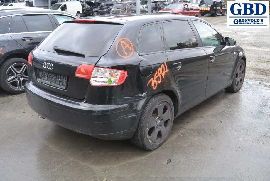 Audi A3, 2003-2008 (Type II, Fase 1) (VW|03G 997 058 SX|03G 906 021KP)