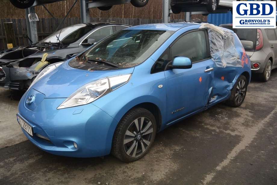 Nissan Leaf, 2011-2017 (Type I) (96302-3NL4B|96302-3NL3B)