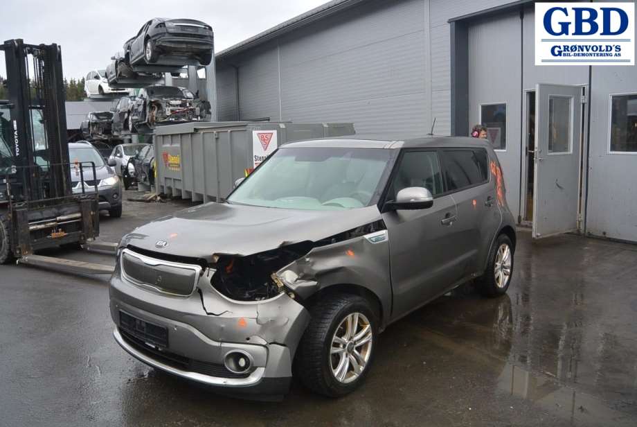 Kia Soul, 2014-2019 (Type II) (92402E 4020)