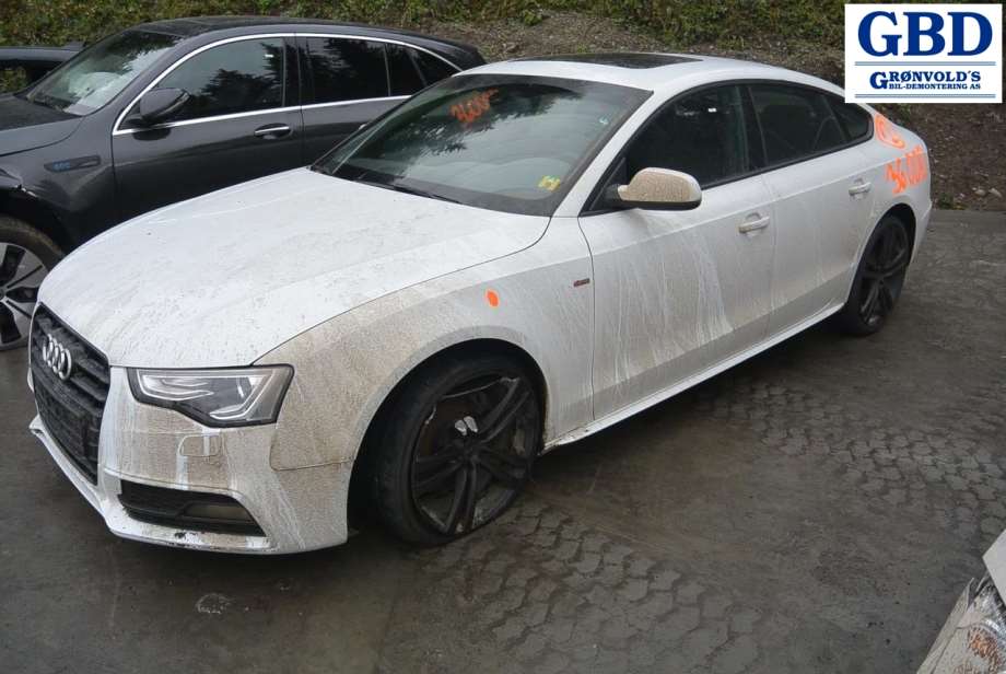 Audi A5, 2007-2016 (Type I) (8K0 407 271 AJ|8K0 407 451 LX)